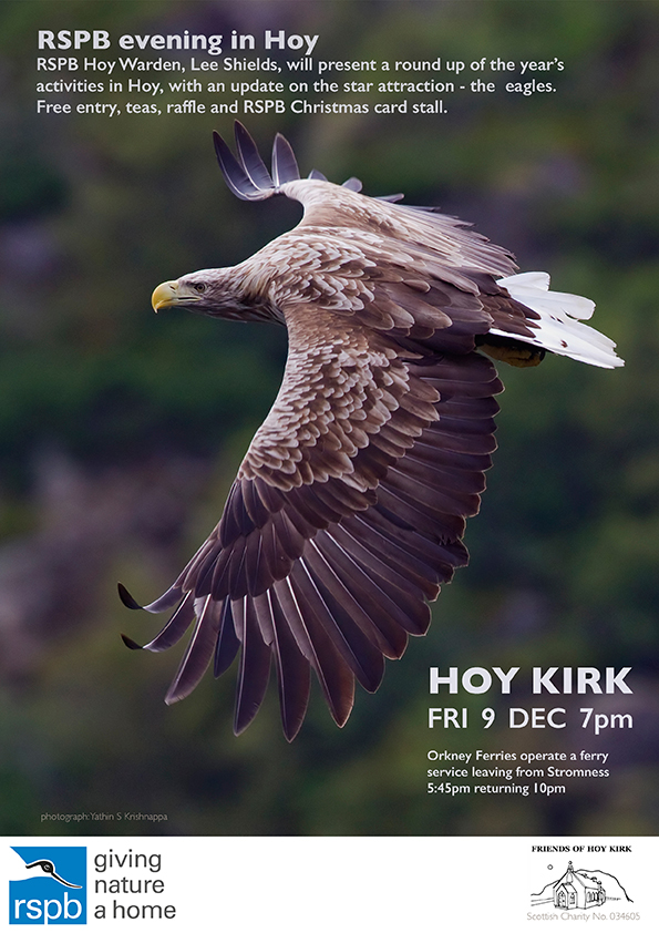 hoyhirkrspbeveninglowres