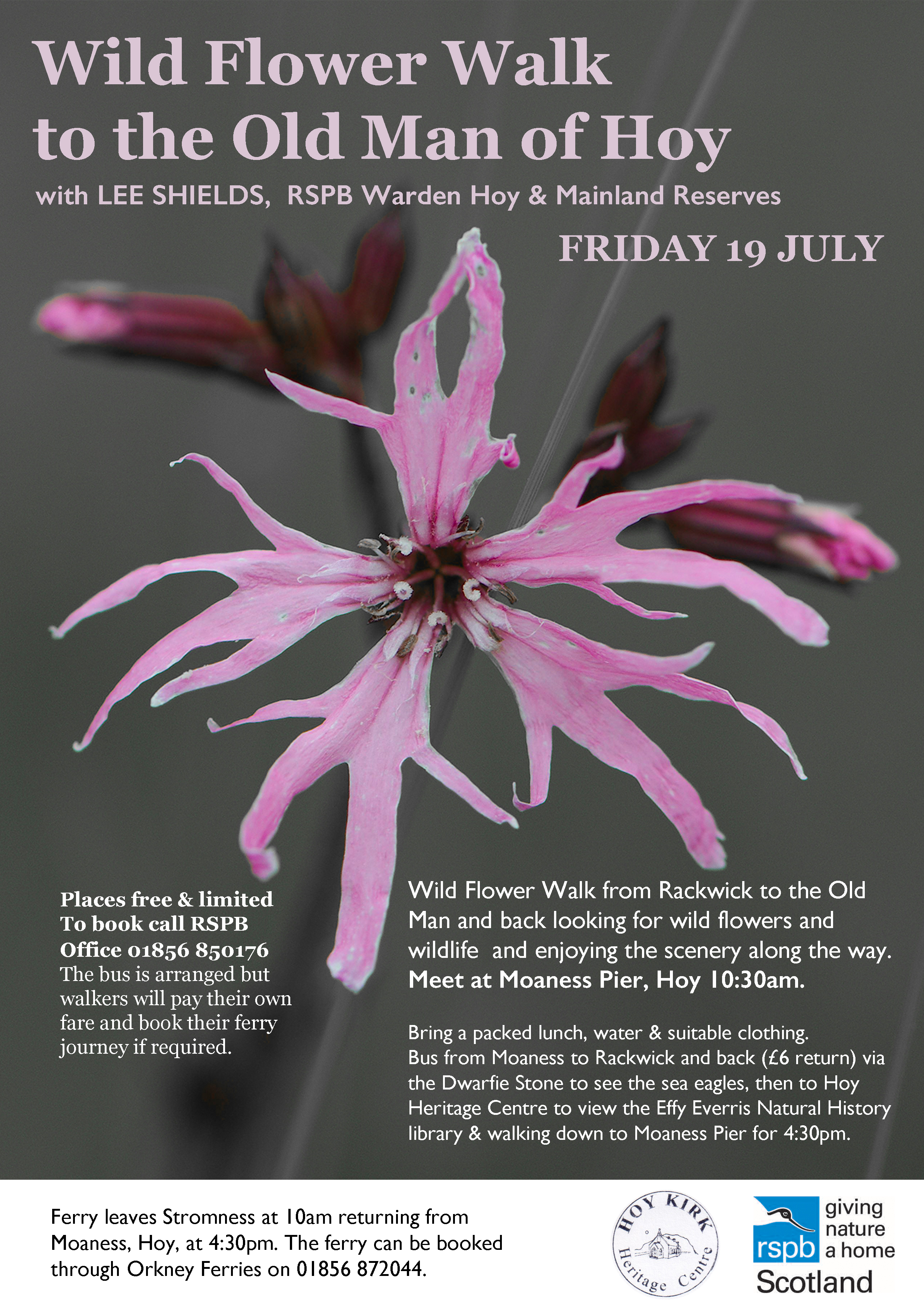 OldManWalk19JulyPoster